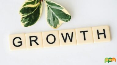 grow your business