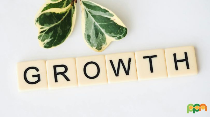 How to Grow Your Small Business in Just 2 Hours a Day